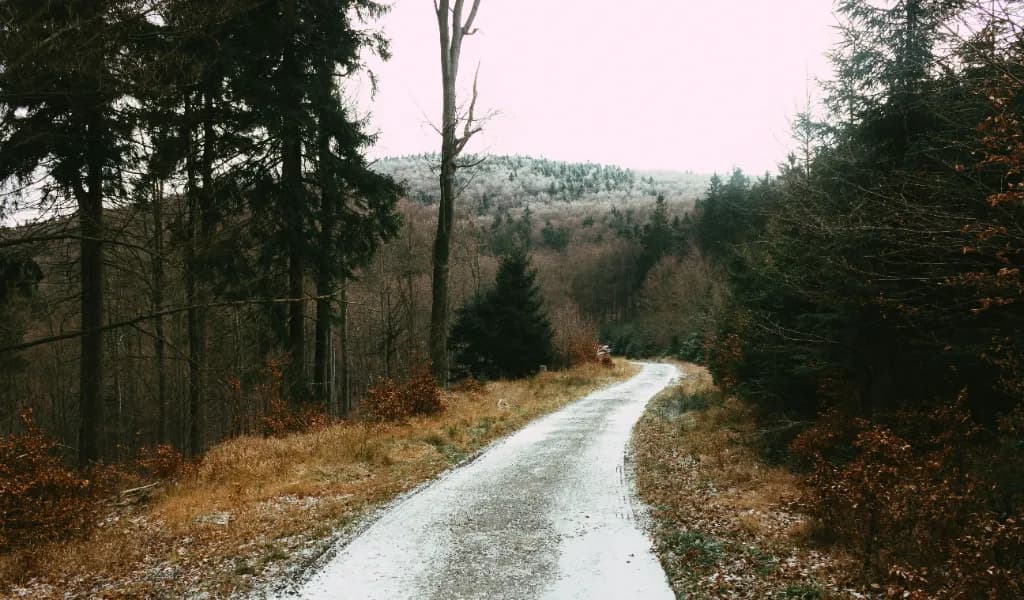 Utah Powersport Pros Logo